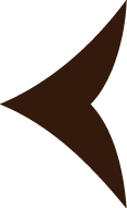 Previous